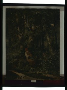 A Stream in the Woods